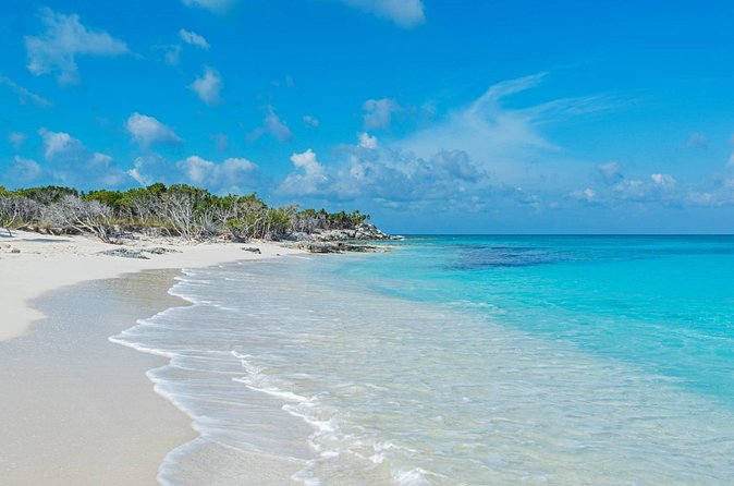 Mangrove Cay and Iguana Island Tours - Clear Kayaks, Towing, and the Real Paddling Level