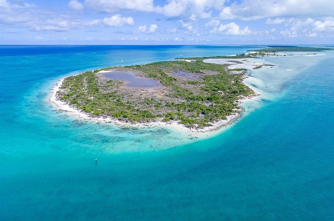 Mangrove Cay and Iguana Island Tours - Price and Value: Is $150 Worth 2 Stops and Guided Wildlife Time?