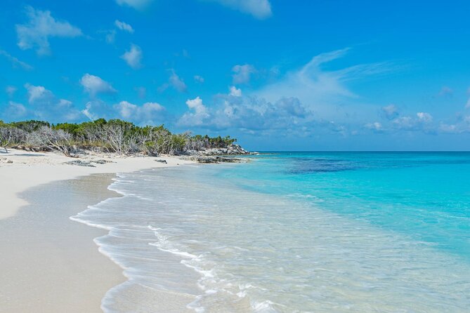 Mangrove Cay and Iguana Island Tours - Pickup, Guides, and the Names People Keep Mentioning