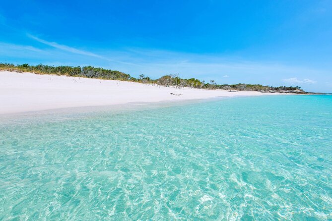 Mangrove Cay and Iguana Island Tours - Who Should Book This, and Who Might Feel Miserable