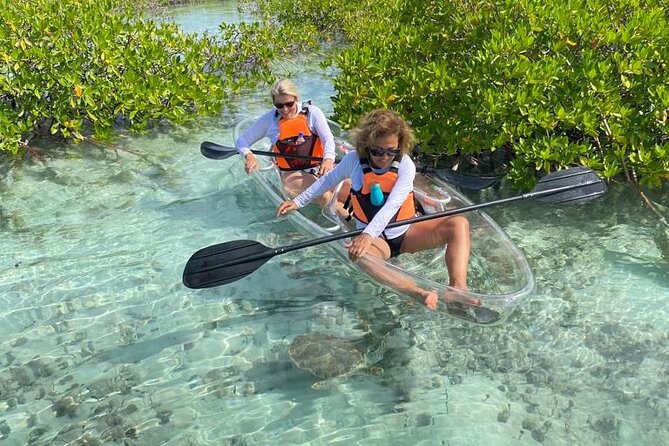 Mangrove Cay And Iguana Island Venture In Turks And Caicos Island - Mangrove Cay and Iguana Island, what this tour feels like on the water