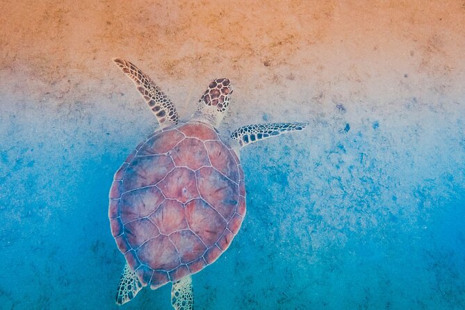 Mangrove Cay And Iguana Island Venture In Turks And Caicos Island - Providenciales stop and the national park connection, what that adds