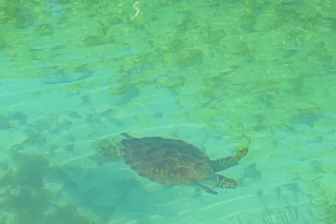 Mangrove Cay And Iguana Island Venture In Turks And Caicos Island - What is included, and how to pack for dry bags that run out