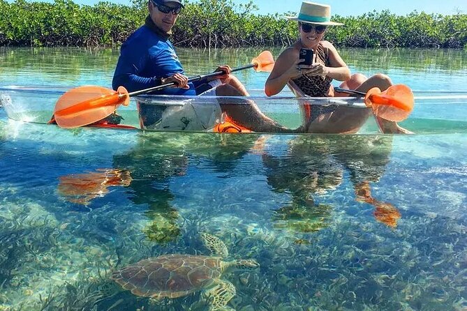 Mangrove Cay Tour - Kayaking and timing: what low tide can do to your sightings