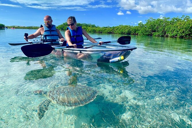 Mangrove Clear Kayak Tour - Key Points Before You Go