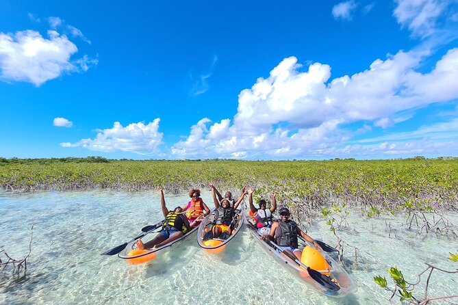 Mangrove Clear Kayak Tour - Paddling Effort: How Hard Is a Clear Kayak Tour?