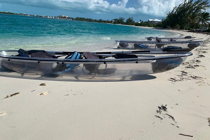 Mangrove & Iguana Clear Kayak Tour - Iguana Island (Little Water Cay): Rock Iguanas, Birds, and Mosquito Reality