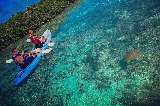 Mangrove & iguana Tour - Kayak routes that connect Mangrove Cay and Iguana Island