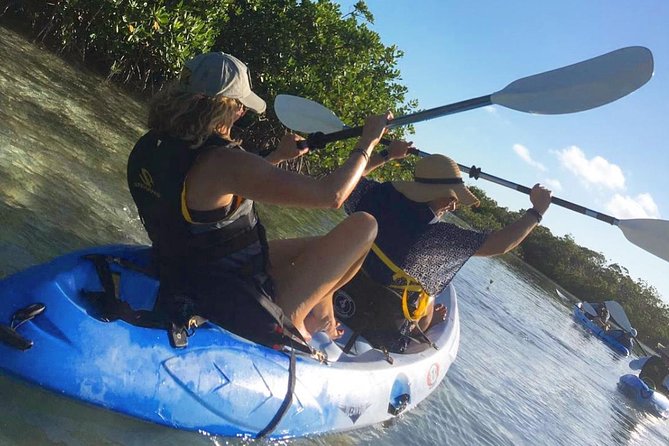 Mangroves Kayak Tour - Key highlights worth knowing