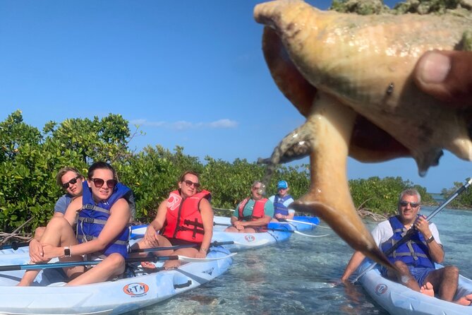Mangroves Kayak Tour - Private Means Personal Pace and Better Spotting