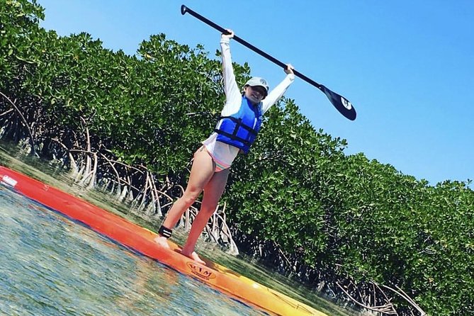 Mangroves Stand-Up Paddleboard Tour - Key highlights worth your attention