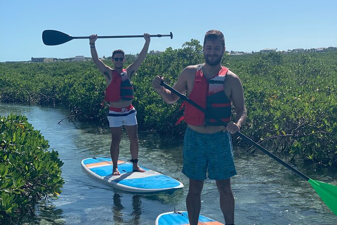 Mangroves Stand-Up Paddleboard Tour - Your 2-hour paddleboarding flow, step-by-step for first-timers