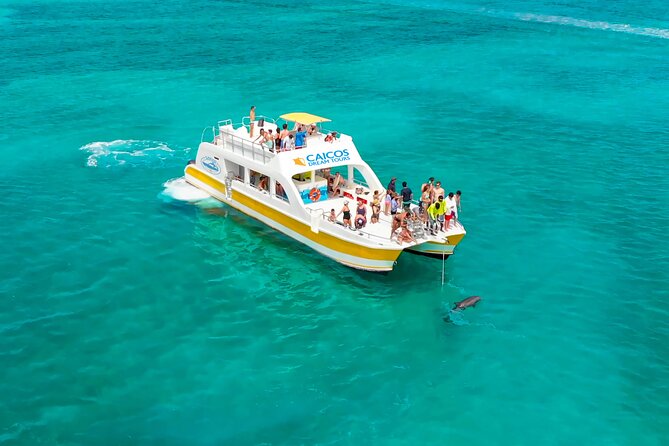 Morning Half Day Cruise from Providenciales with Snorkeling and Iguana Island - Half-Day Cruise With Grace Bay Views, Reef Time, and Iguana Island