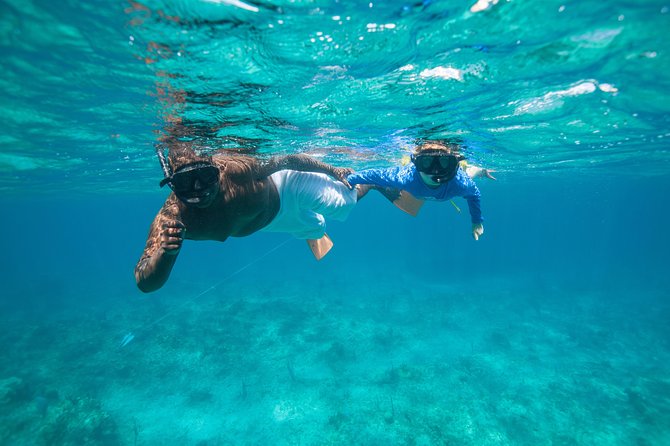 Morning Half Day Cruise from Providenciales with Snorkeling and Iguana Island - The Boat Experience: Crew Energy, Narration, and Safety