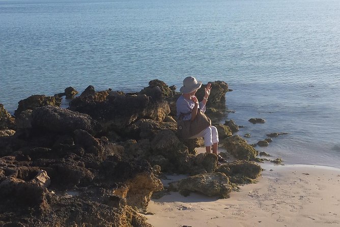 N&G Providenciales Island Tours of Turks and Caicos - Grace Bay Beach plus conch shell spotting moments