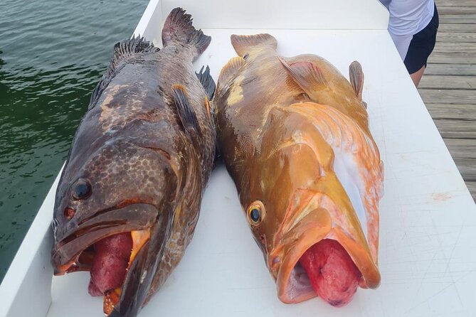 Private 1/2 Day Afternoon Bottom Fishing Charter on "Shady Grady" - How the 1:00 pm departure and outer reef fishing usually plays out