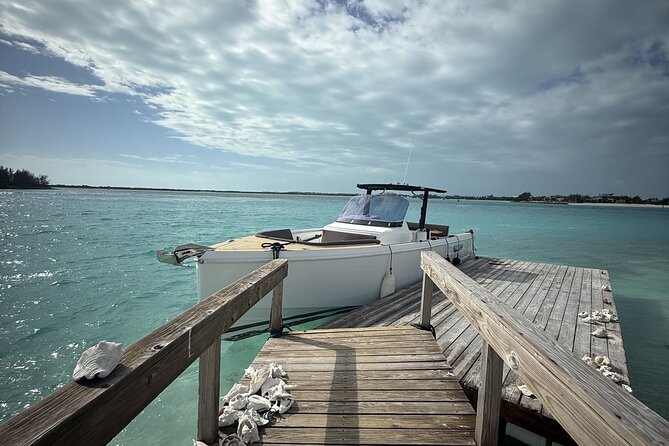 Private Afternoon Tour Fjord 38 Ben - Grace Bay horizon time, then Little Water Cay for more iguanas
