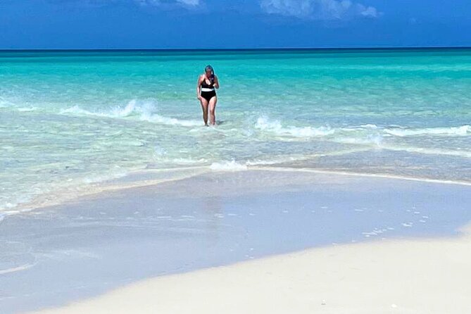 Private Boat Tour with Snorkeling, Island Hopping, and Noahs Ark - Sand Dollar Cove and the sand-dollar spotting window