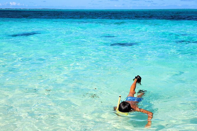 Private Boat Tour with Snorkeling, Island Hopping, and Noahs Ark - Price and value: is $1,450 per group reasonable?