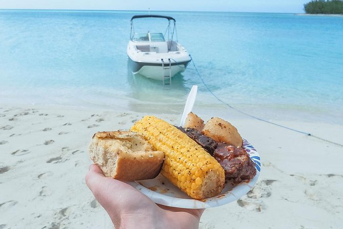 Private Boat Tours to outer islands, snacks drinks- snorkel- cruise! - Snorkeling and dolphin time: how to get the most from reef visits in clear water