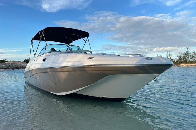 Private Half Day Charter Tour in Turks and Caicos - Little Water Cay (Iguana Island): your 1-hour wildlife-and-water stop