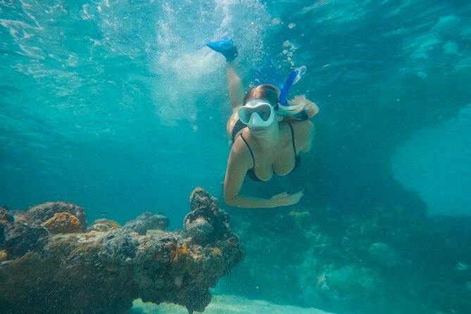 Private Half Day Luxury Snorkeling Charter - Key things to know before you go
