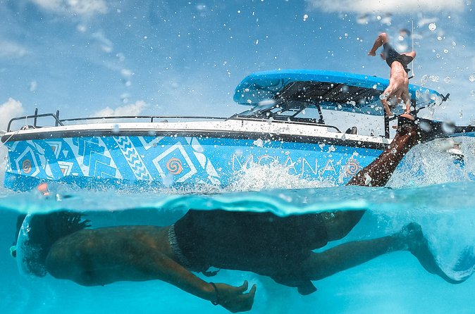 Private Half Day Luxury Snorkeling Charter - The reef snorkel: your guided route to marine life