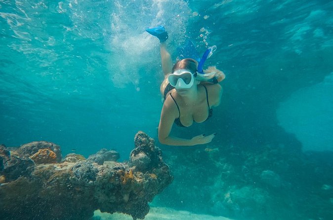 Private Half Day Luxury Snorkeling Charter - Shipwreck stories, including wreck jumps and fish-filled structure