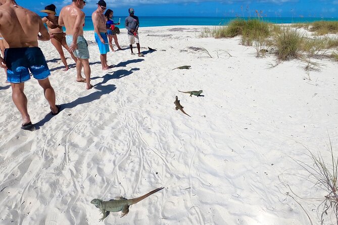 Private Reef, Beach and Sandbar Tour from Providenciales - A private catamaran day in Providenciales, minus the crowd math