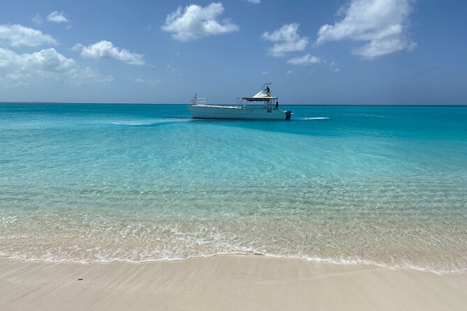 Private Reef, Beach and Sandbar Tour from Providenciales - Little Water Cay option: another iguana sandbar depending on conditions