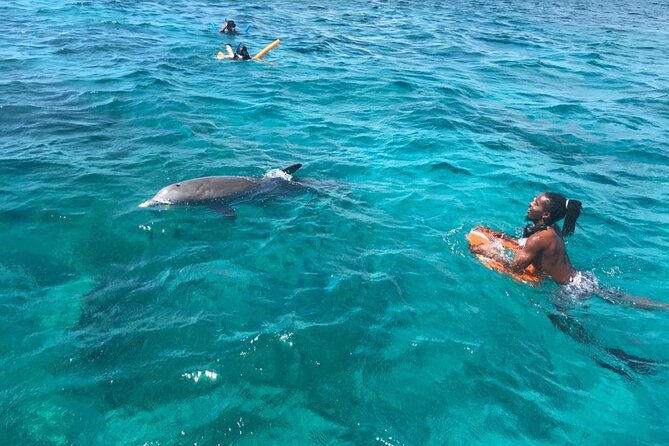 Private Reef, Beach and Sandbar Tour from Providenciales - Pine Cay and the North coast cruise: beach reset and shell time