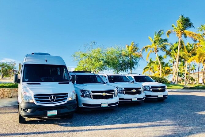 Providenciales Airport (PLS) to hotels or ferry -Arrival Transfer - Meeting your driver at PLS: name sign, flight tracking, and fast luggage help