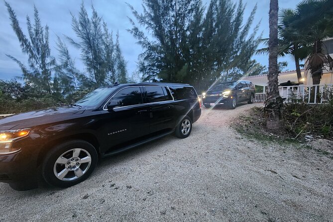Providenciales Airport Private Transfer (Round trip) - The airport pickup flow at Providenciales International