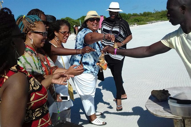 Providenciales Group Island Tour - Why a private Providenciales route beats the big-group circuit