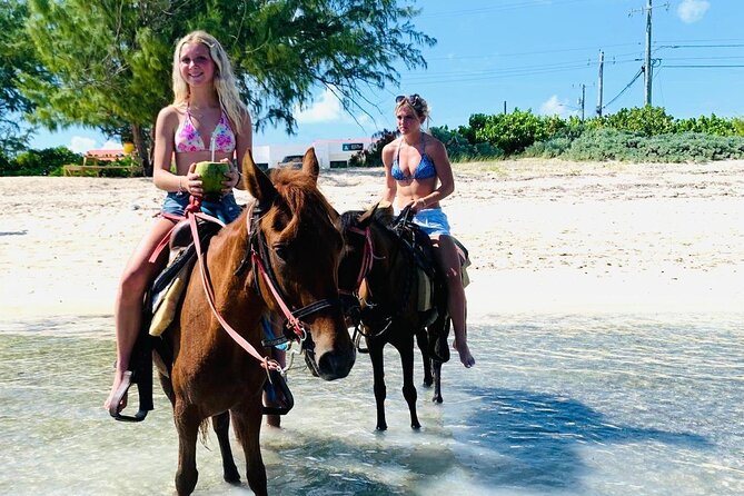 Shared Horseback Riding in Turks and Caicos - Pre-Ride Lessons: Where the Safety Starts (Not When Something Goes Wrong)