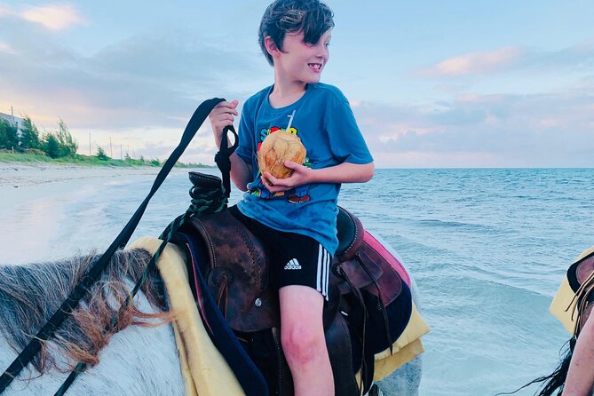 Shared Horseback Riding in Turks and Caicos - The One-Hour Ride: Sand Walking, Shallow Water, and Real-Life Conditions