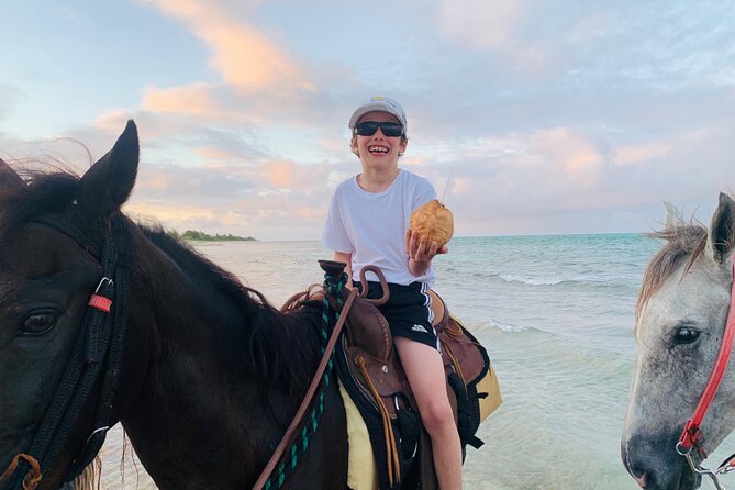 Shared Horseback Riding in Turks and Caicos - Price and Value: What $210 Includes (and Why That Matters)