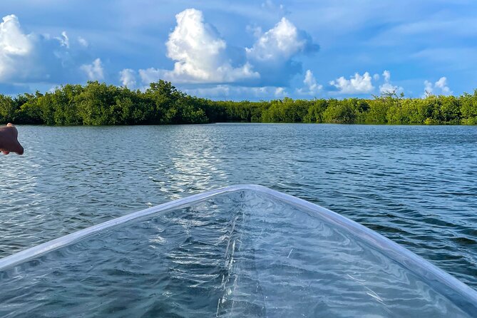 Sip & Sea Mangrove Glass Boat Tour Grand Turk Island - Along the Coast at Columbus Landfall National Park
