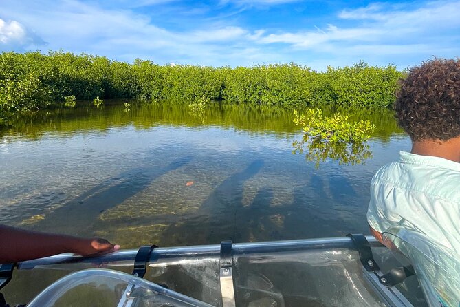 Sip & Sea Mangrove Glass Boat Tour Grand Turk Island - The Human Touch: Compton and Captain Hasani Set the Tone