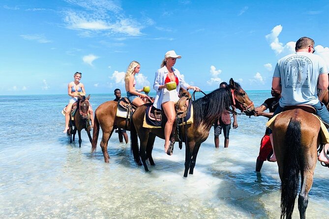 Small Group Horseback Riding Adventure in Caicos Islands - The One-Hour Experience, Step by Step (What Your Time Looks Like)