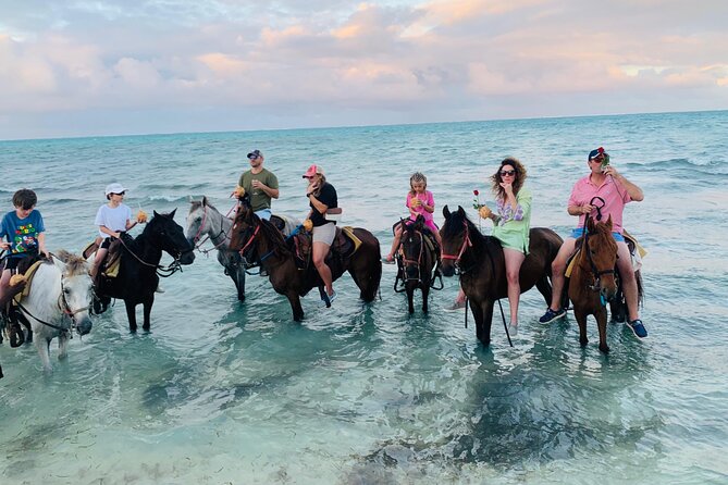 Small Group Horseback Riding Adventure in Caicos Islands - Price and Value: What $210 Gets You in Real Terms