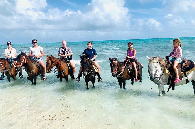 Small Group Horseback Riding Adventure in Caicos Islands - Possible Downsides to Keep It Honest