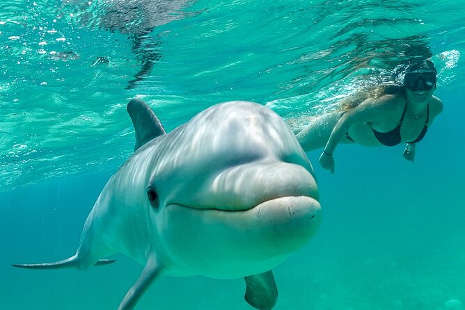 Snorkel Eco Tour - Key Things I Would Pay Attention To