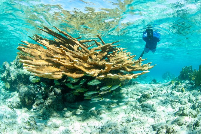 Snorkel Eco Tour - From Marina Road to Your Fins: What Check-In Looks Like