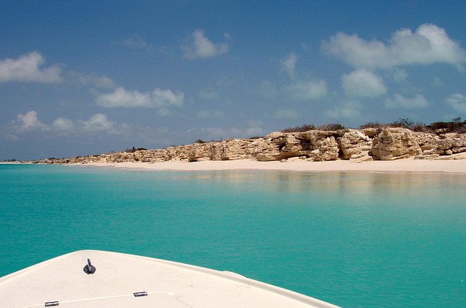 Snorkel Eco Tour - Wildlife Odds, Reef-Safe Snorkeling, and the Crew Factor