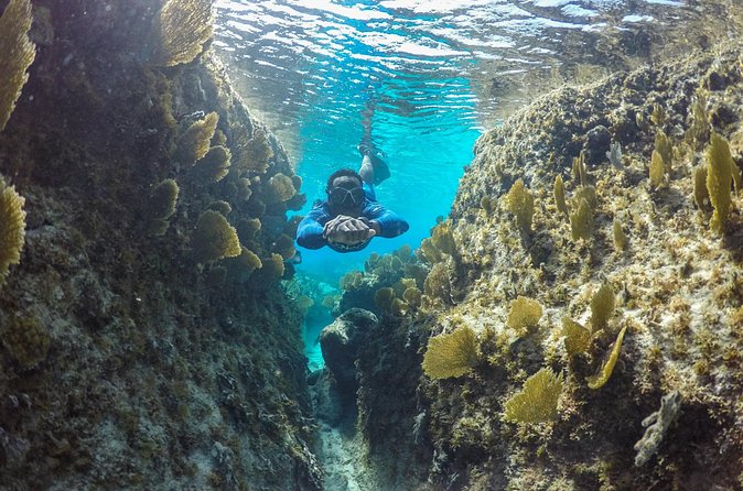 Snorkel Eco Tour - What to Bring (and the One Small Thing People Forget)