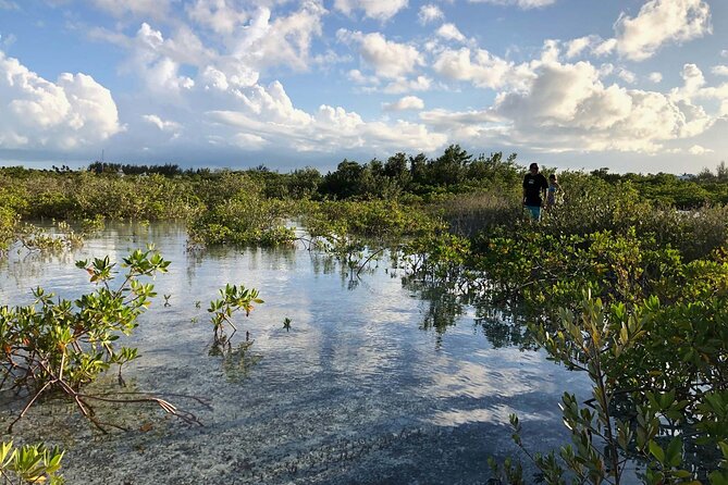 Snuba Adventure at Emerald Reef - What happens during your 90-minute Emerald Reef session