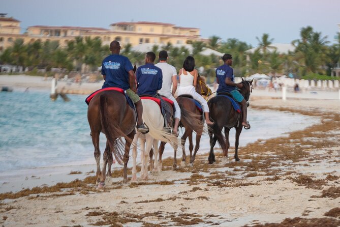 Spectacular Private Beach & Ocean Ride in Providenciales - A Simple One-Hour Schedule from Mounting to the Return Ride