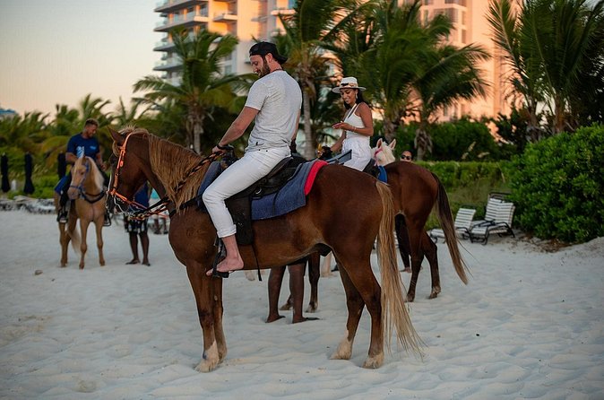Spectacular Private Beach & Ocean Ride in Providenciales - Meeting at Unique Tours and Rentals, Pickup, and Timing Reality