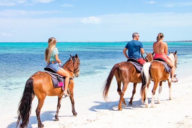 Spectacular Private Beach & Ocean Ride in Providenciales - Horses, Safety, and the Quick Skills You Actually Need